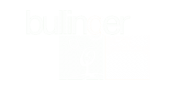 Bullinger-Logo Kopie